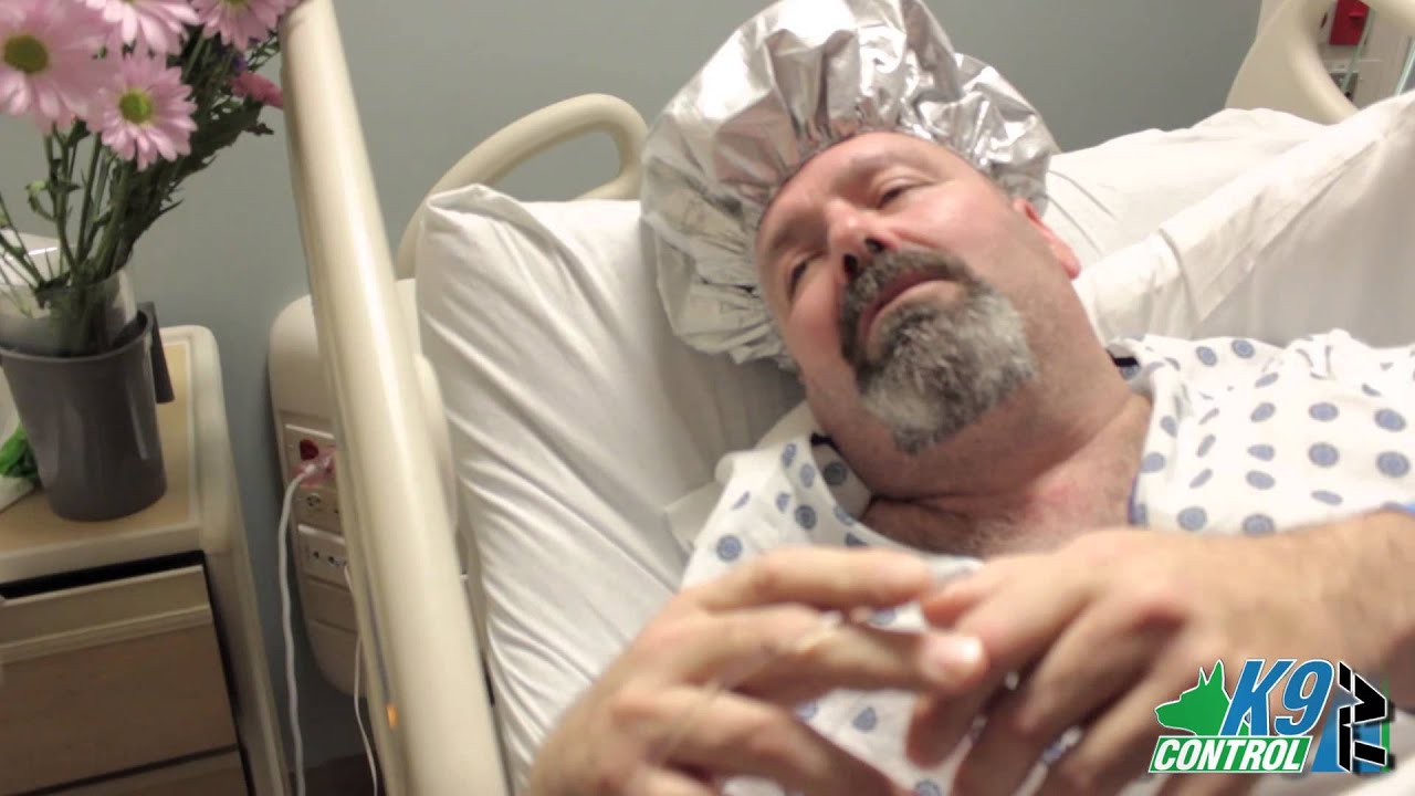 Donovan Pinscher Protection Police Dog, Donovan at Hospital, K9 Control TV