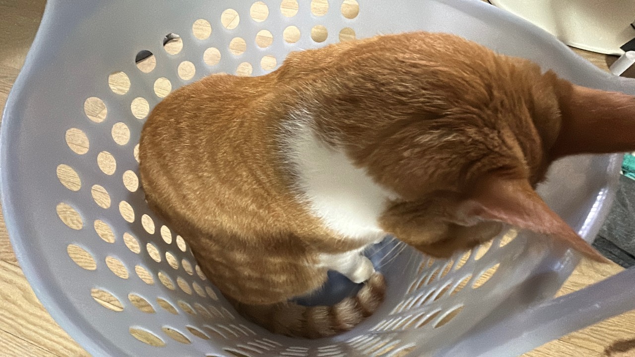 지나간 것들…