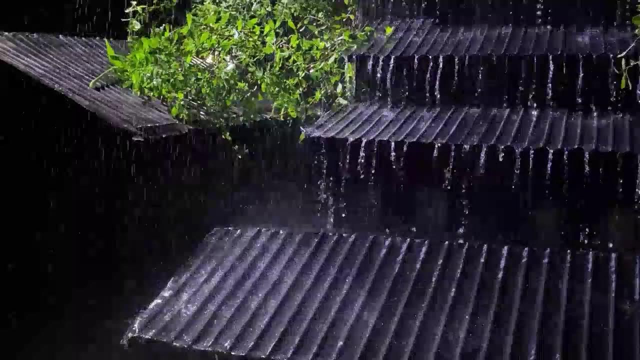 Dark Night Rainstorm 🌙 Tin Roof Rain & Thunder Sounds for Sleep