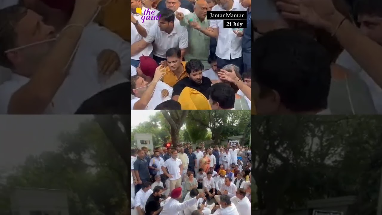 Rain Couldn&rsquo;t Wash Away CJP Protest | Rahul Gandhi Joins CJP Agitation as HC Orders Wangchuk Shif