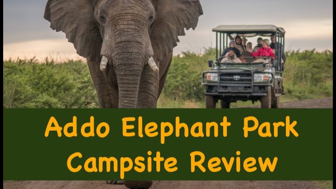 Обзор кемпинга Addo Elephant Park (осторожно, поезд!)