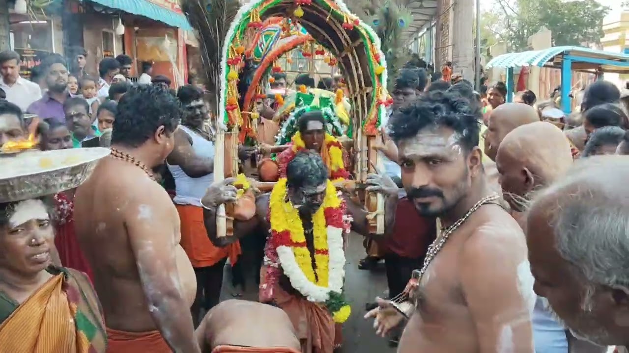 திருப்போரூர் பஞ்சாட்சரம் காவடி வைபாவம் 🙏🙏🙏🙏