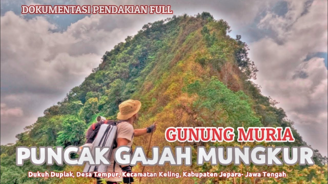 Pendakian Gunung Muria Puncak Gajah Mungkur Via Jepara | Dokumentasi jalur pendakian lengkap