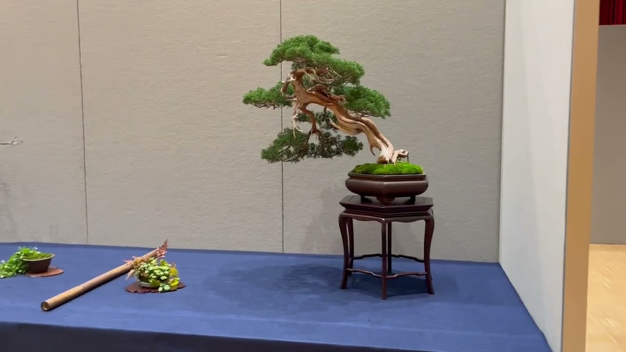 Aki ten in Brixen am 08. + 09.10.2025 Teil 3