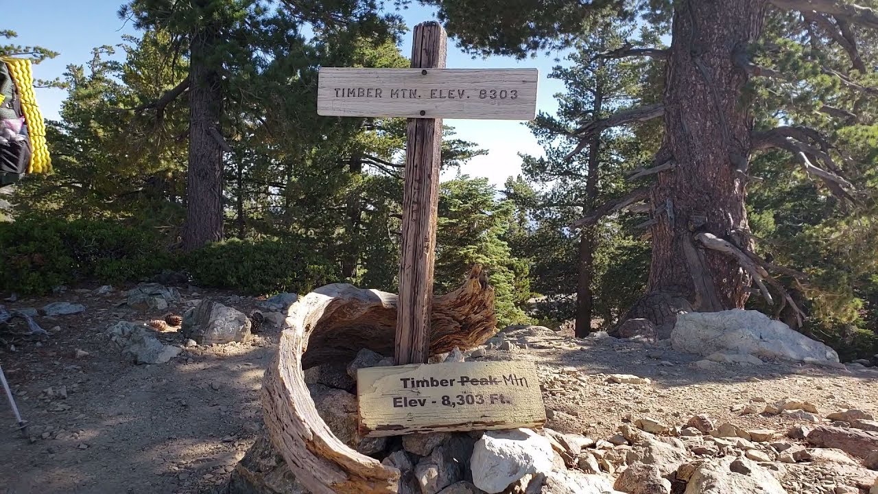 Timber Mountain Hike