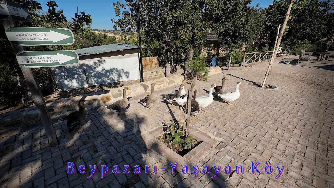 Beypazarı - Yaşayan Köy