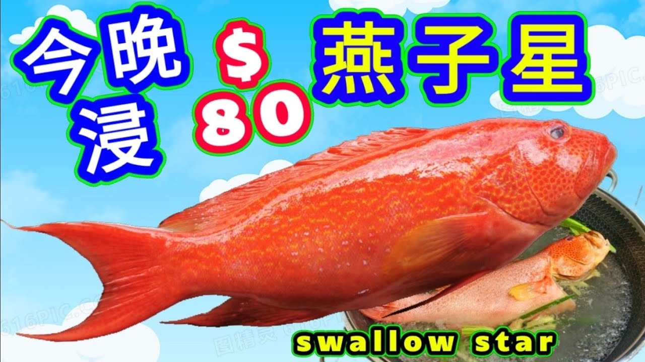 燕子星斑🐟 油鹽水浸💧 $80 😱超抵👍 浸魚方法話你知👈 簡單容易😁 你一定做得到 🙏呢幾日就試下🙏😋♦️描述 及 留言 附有 ♦️中英文翻譯程序  ♦️English Recipe ♦️