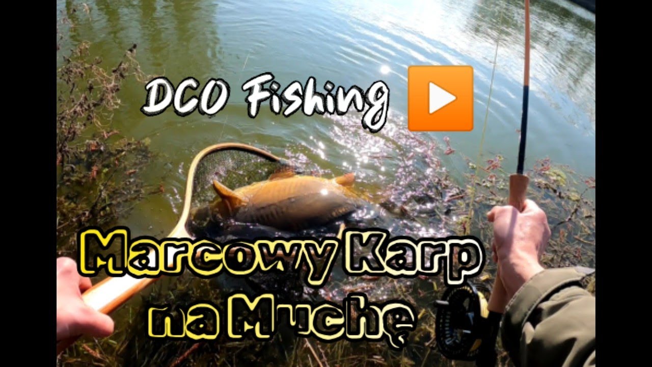 Marcowy Karp na Suchą Muchę