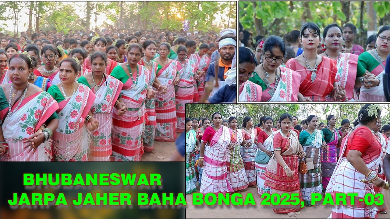 BHUBANESWAR JARPA JAHER BAHA BONGA 2025, PART-03 🌼🌿🌼🌿