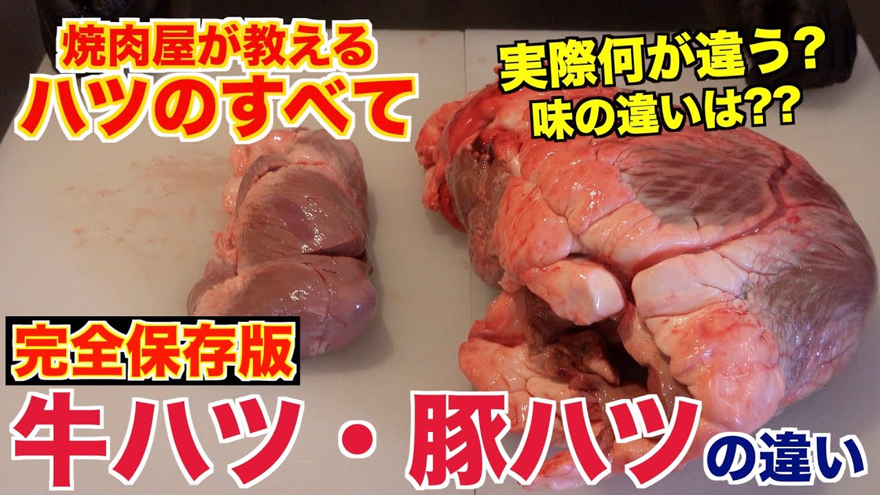 【牛ハツ・豚ハツの違い】焼肉屋がその疑問解決します!!