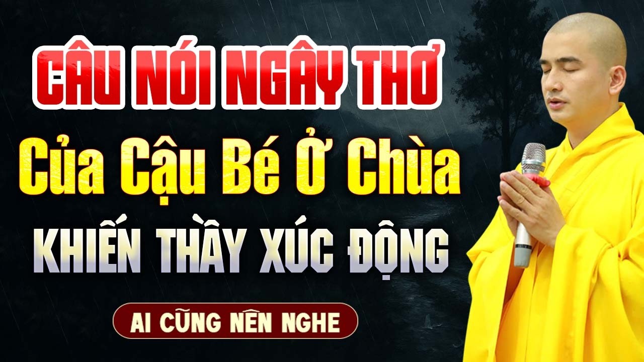 Câu Nói Ngây Thơ Của Cậu Bé Ở Chùa, Khiến Thầy Xúc Động | Thầy Thích Minh Thiền