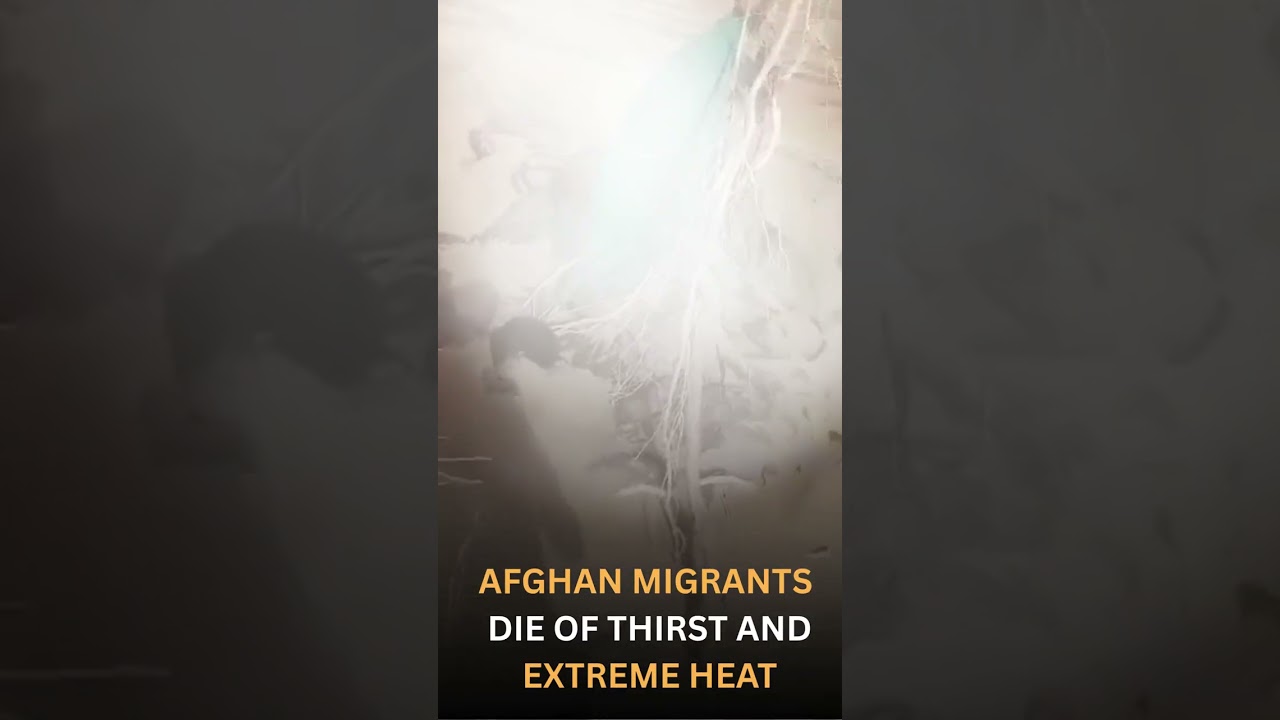 Afghan Migrant Tragedy in Nimruz Desert: 19 Die After Being Stranded on Route to Iran