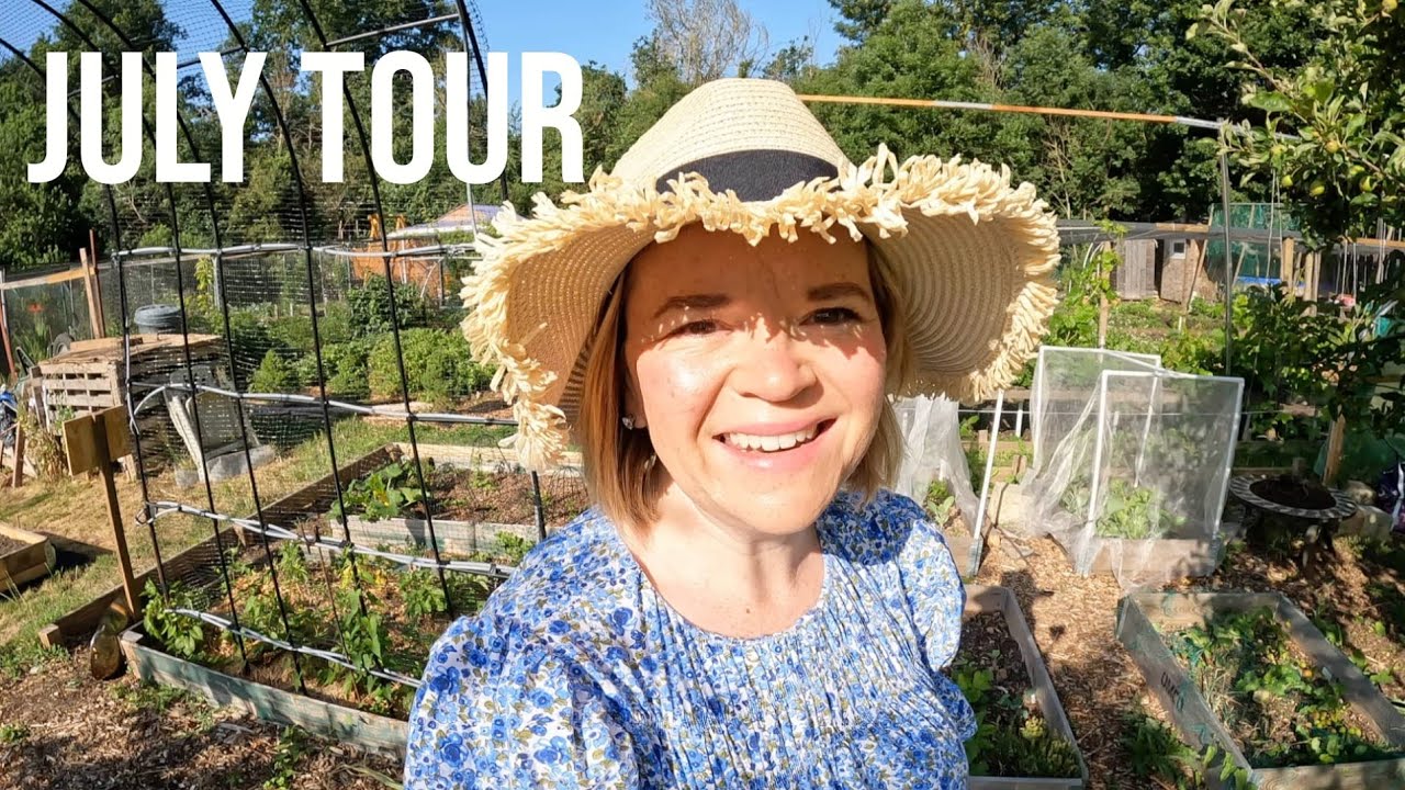 Tour My Allotment Plot With Me After A Week Away
