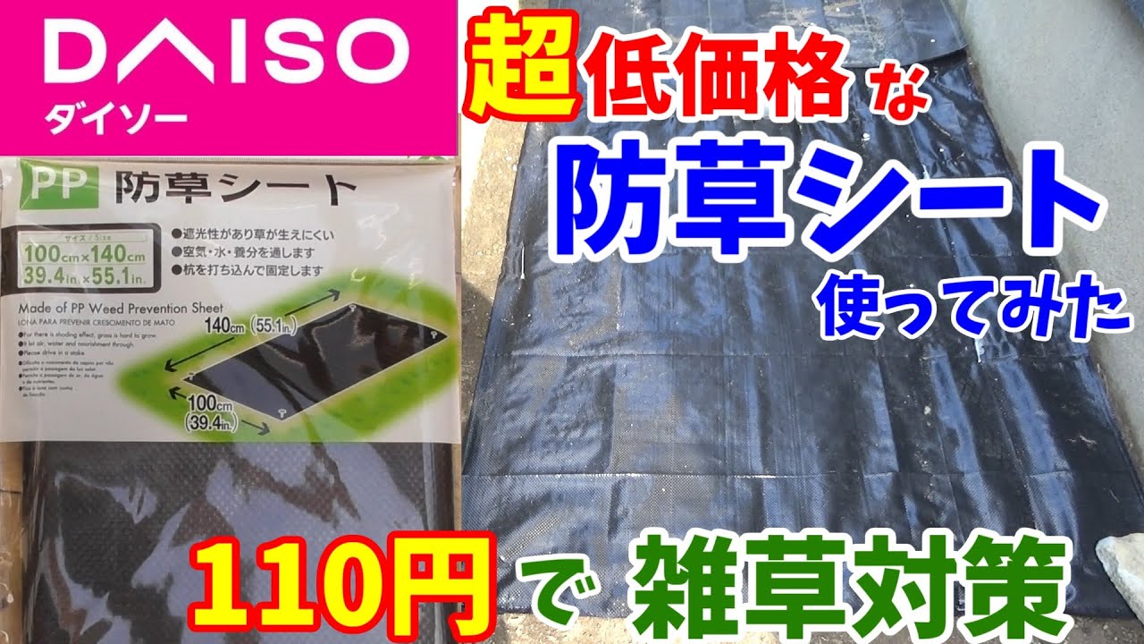 【100均の防草シートってどうなの？】ダイソーの防草シートで超が付くほど低コスト雑草対策　110円だけで施工します