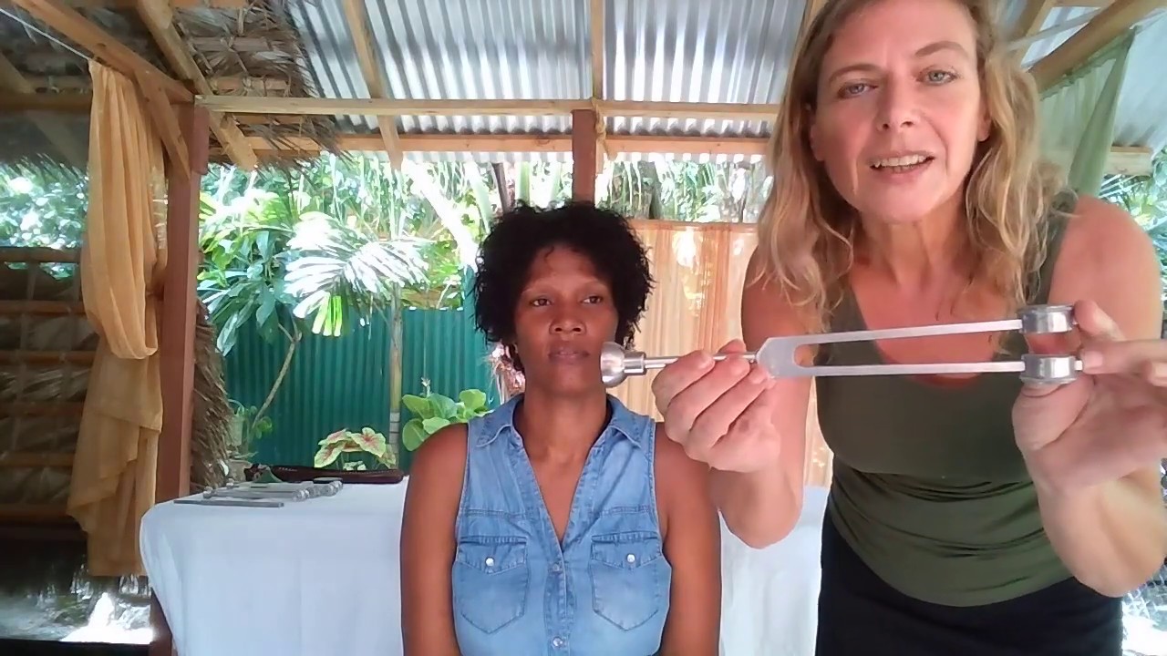 Using the Sonic Slider™ tuning fork on friends, family, and colleagues