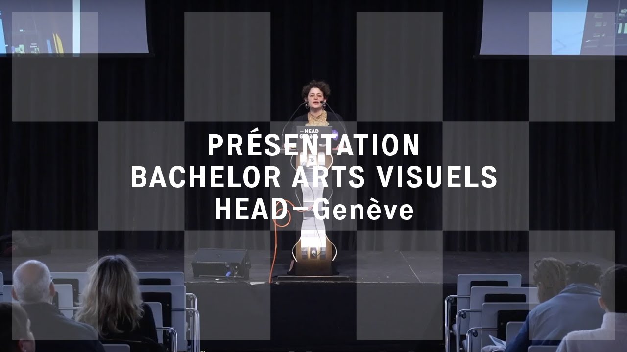 Bachelor Arts visuels
