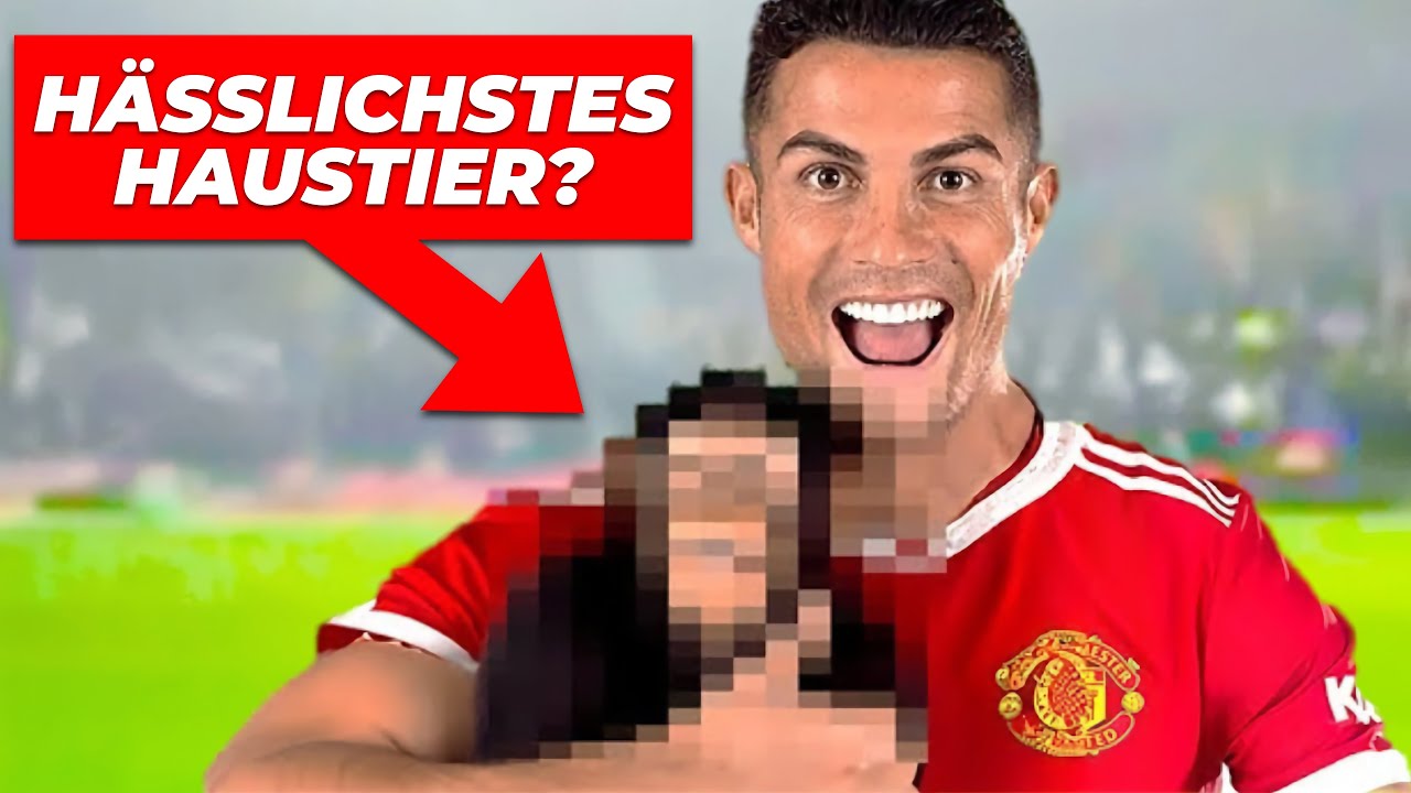 Die VERRÜCKTESTEN Haustiere von Fußballern!