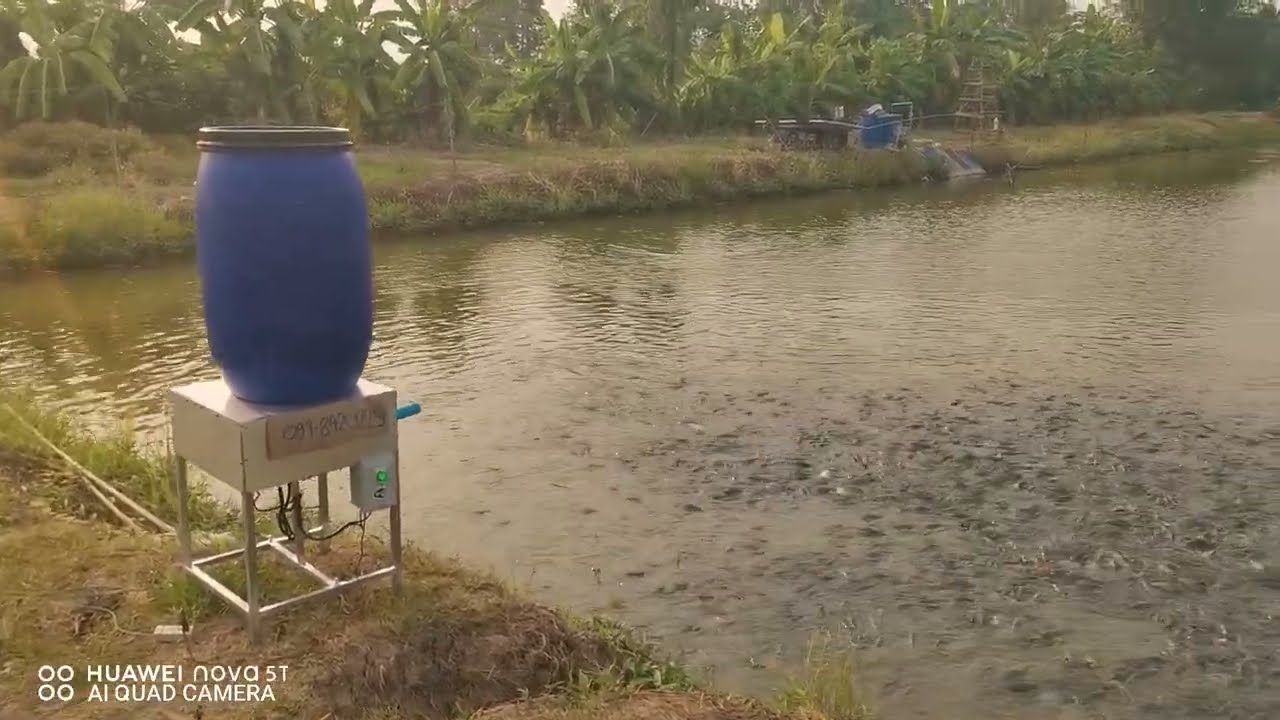 #เครื่อง​ให้อาหาร​ปลา​อัตโนมัติ​  #​fish​feeder