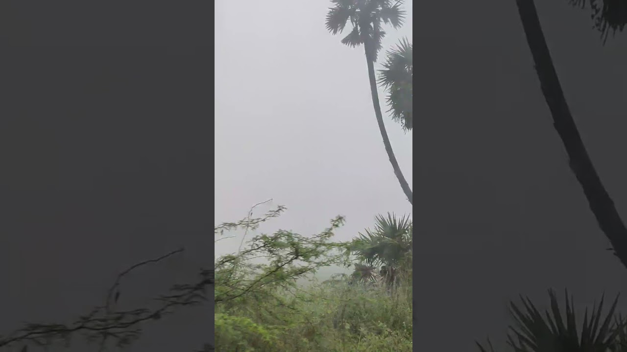 Travelling in Fog Snow status 