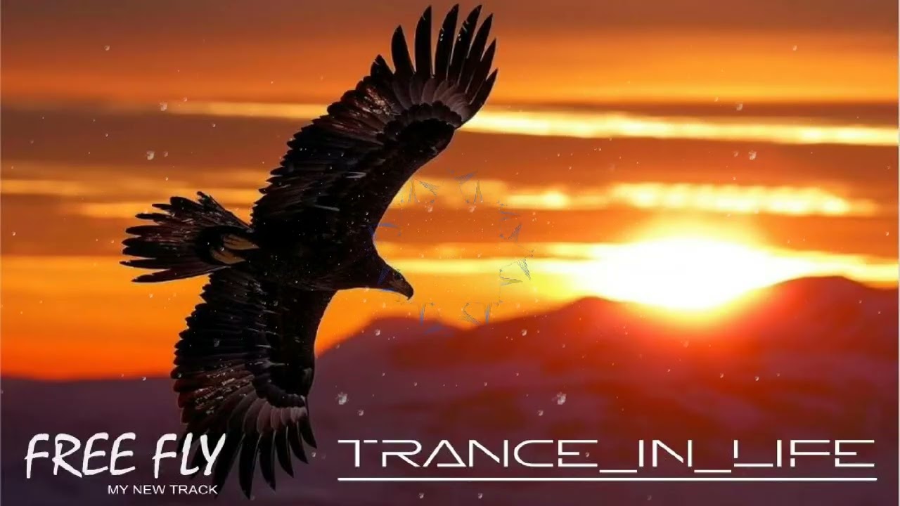 FREE FLY (Progressive Trance)