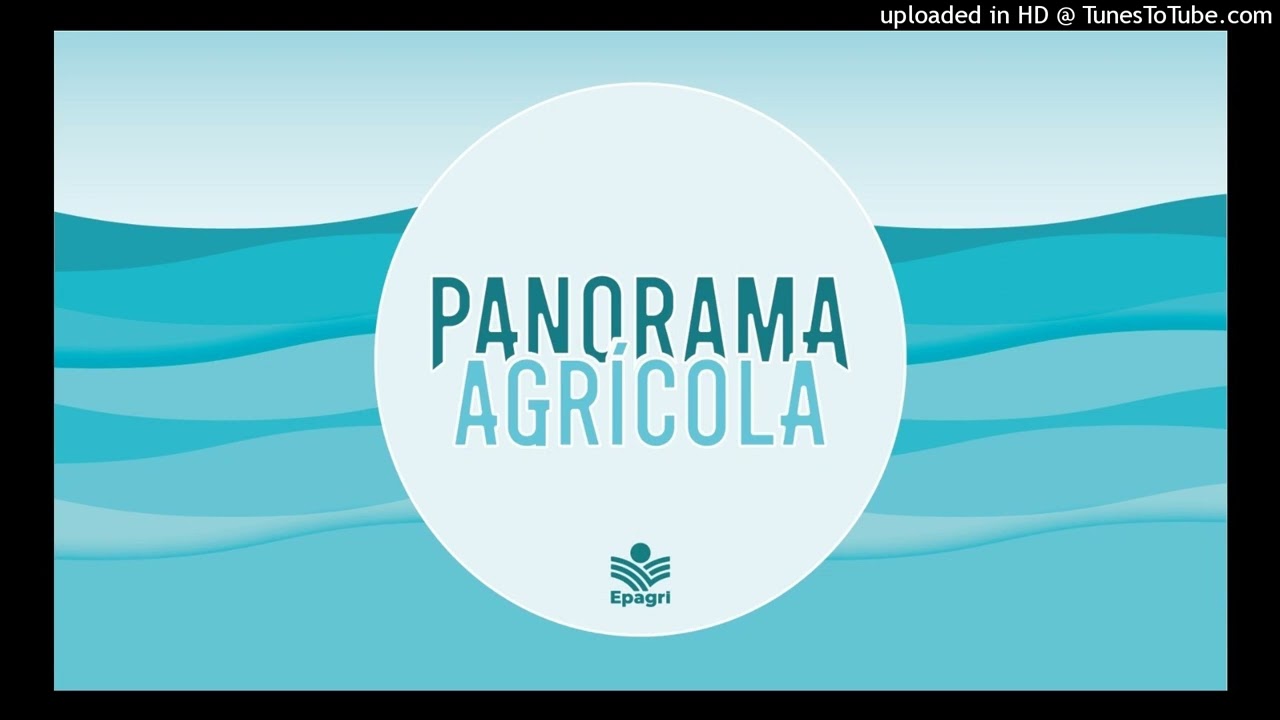 2 de março - Conheça o programa SC Mais Arroz 2026