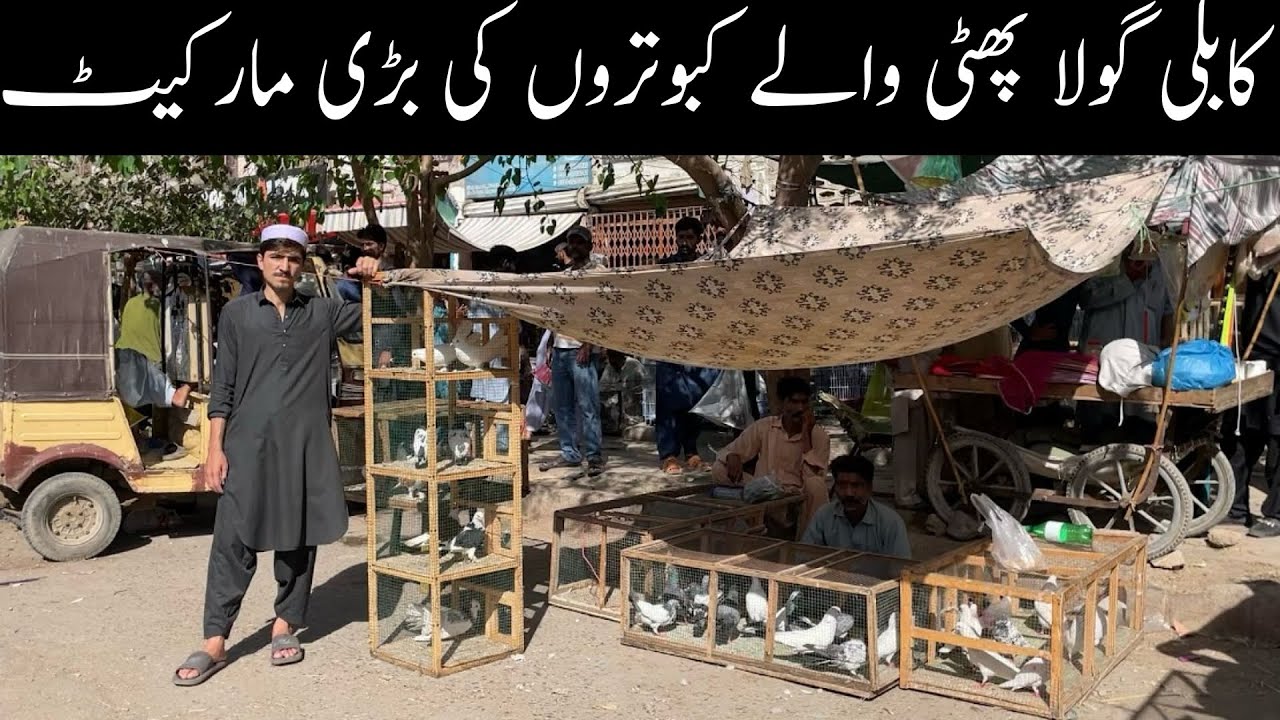 Kabootar Market Lalukhet Sunday Video Latest Update   23-3-2025 in Urdu/Hindi