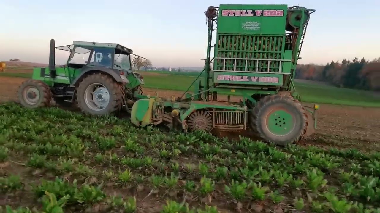 DEUTZ DX 85 mit STOLL 2 Reiher Rübenroder V202  Vintage Sugarbeet Harvest Germany 2024