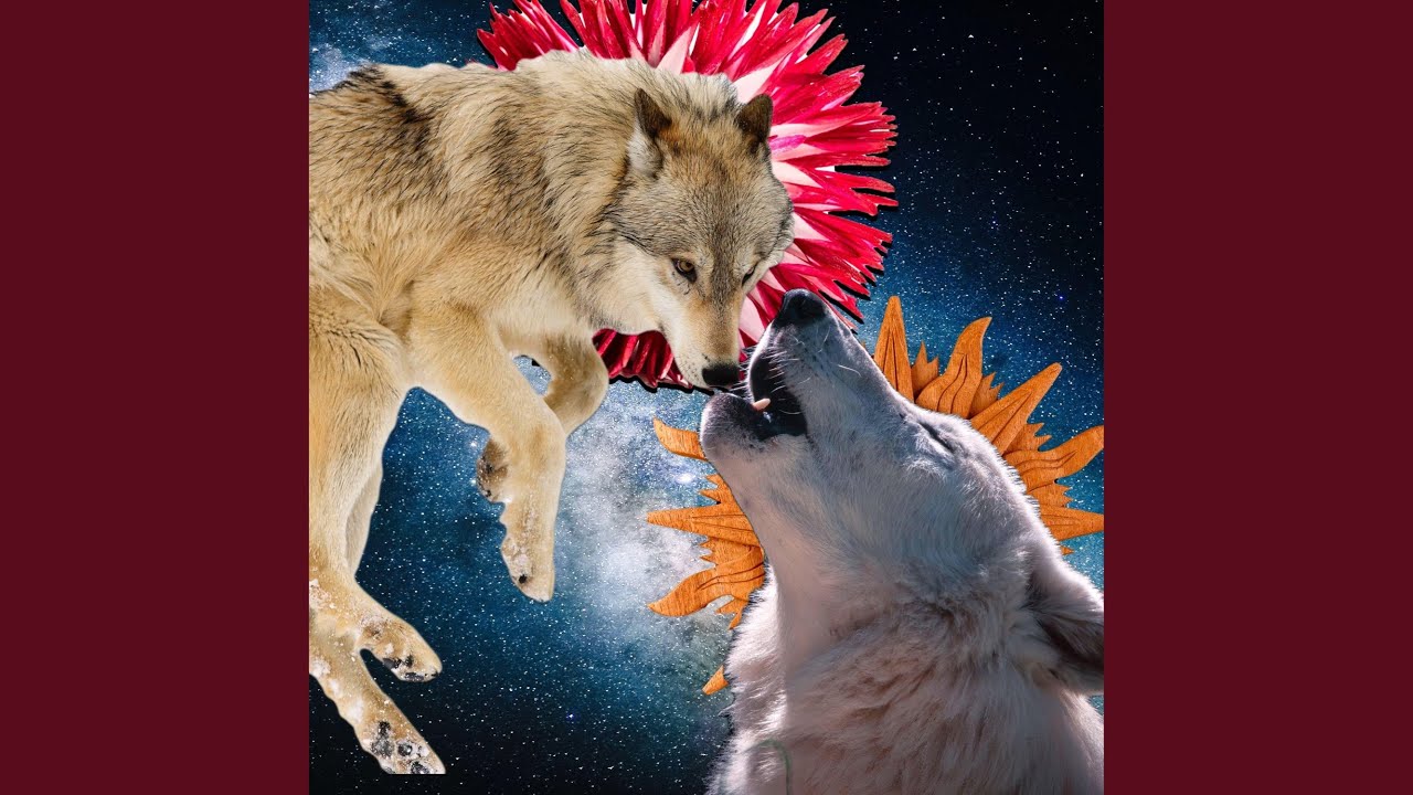 Instinct