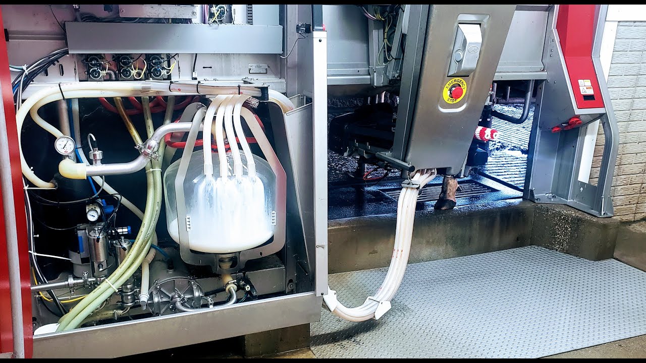 Cow Comfort and Lely Robot Repairs
