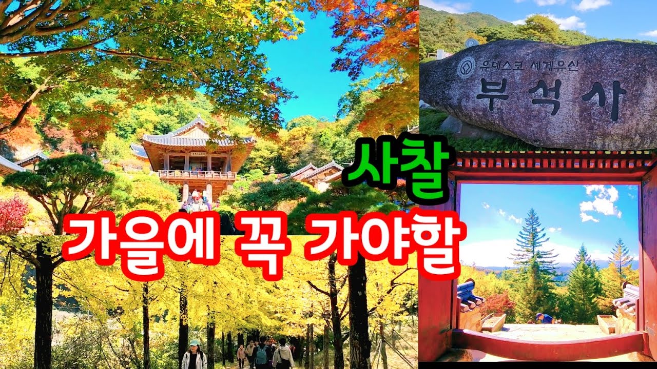 가을에 꼭 가봐야할 가을 단풍 명소 사찰 부석사  -가을 단풍으로 물든 유네스코 세계문화유산 부석사