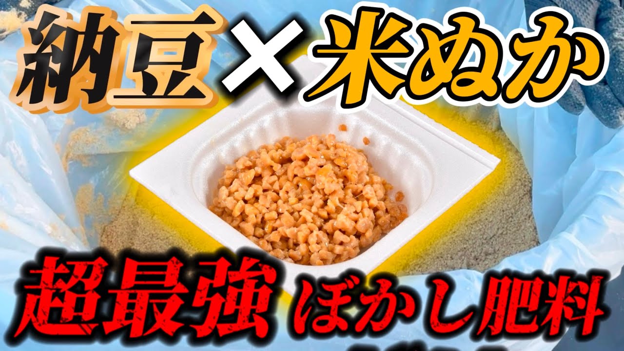 【病気予防の肥料】納豆菌と米ぬかで作る病原菌を寄せ付けない最強のぼかし肥料の作り方を教えちゃいます