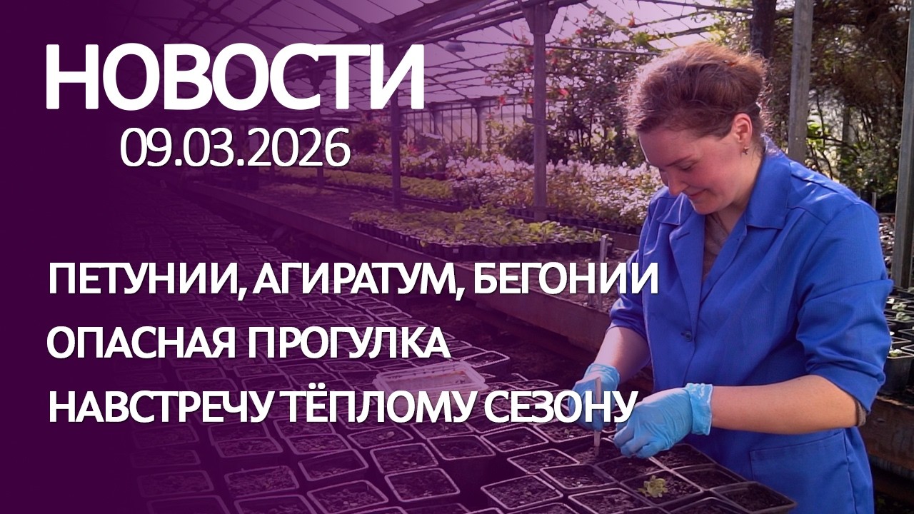 НОВОСТИ 09 03 26