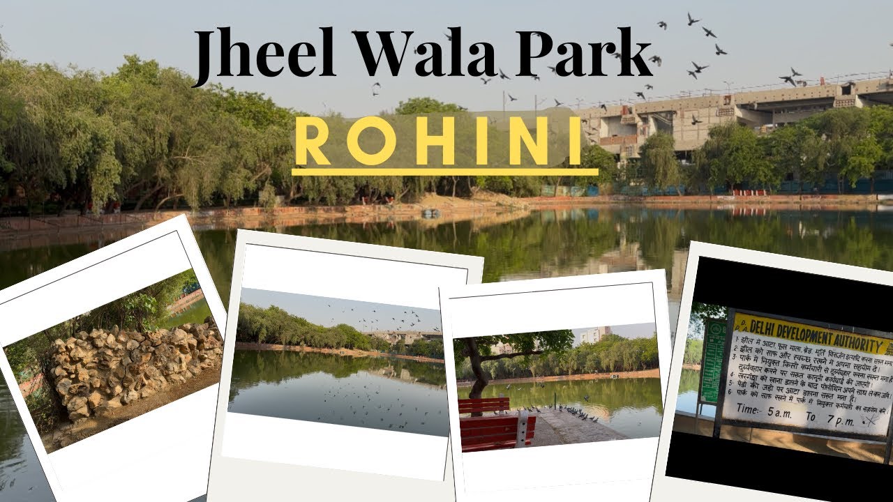 Rohini Jheel Park 🏞️ Jheel Wala Park Rohini 🌳Jheel Park Delhi Rohini || Rohini sec 2 JheelPark Delhi