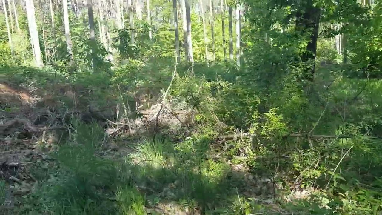 Kolov&yacute; nakldač Wolf WL 927