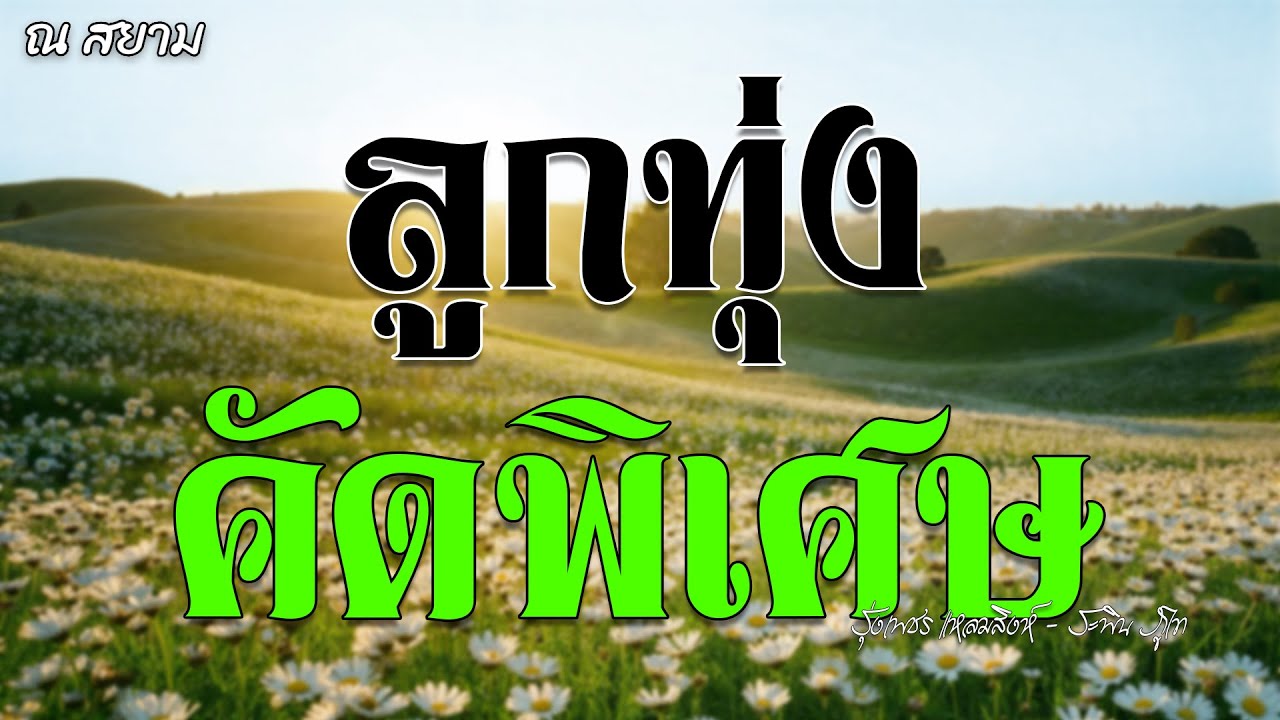 ลูกทุ่งคัดพิเศษ | รุ่งเพชร แหลมสิงห์ - ระพิน ภูไท | #ฝนเดือนหก #คืนฝนตก #ยิ่งโตยิ่งสวย