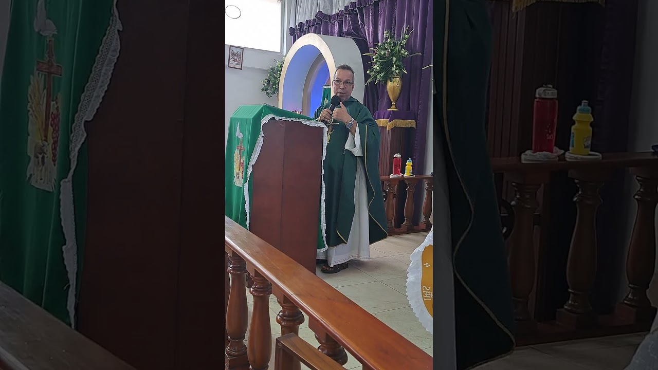 Homilia. Domingo 15 febrero 2026