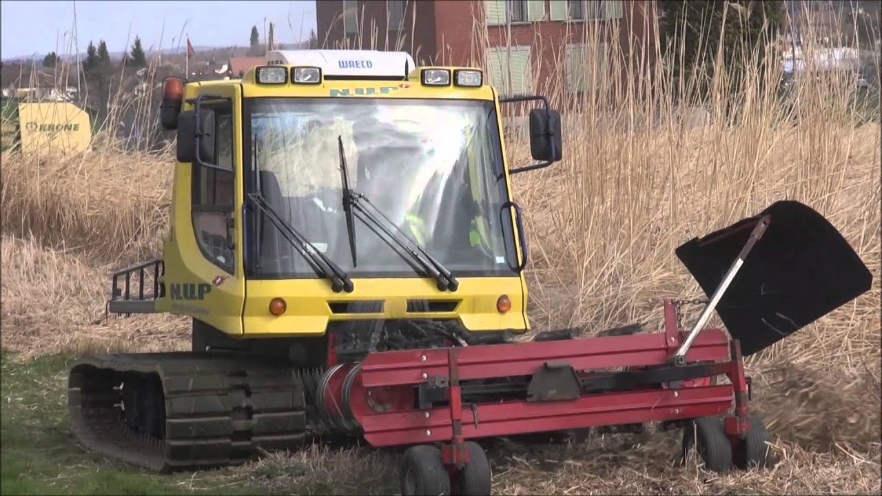 Chinaschilfernte N.U.P & Lohnunternehmen Tr&uuml;b Forschungsanstalt T&auml;nikon April 2015