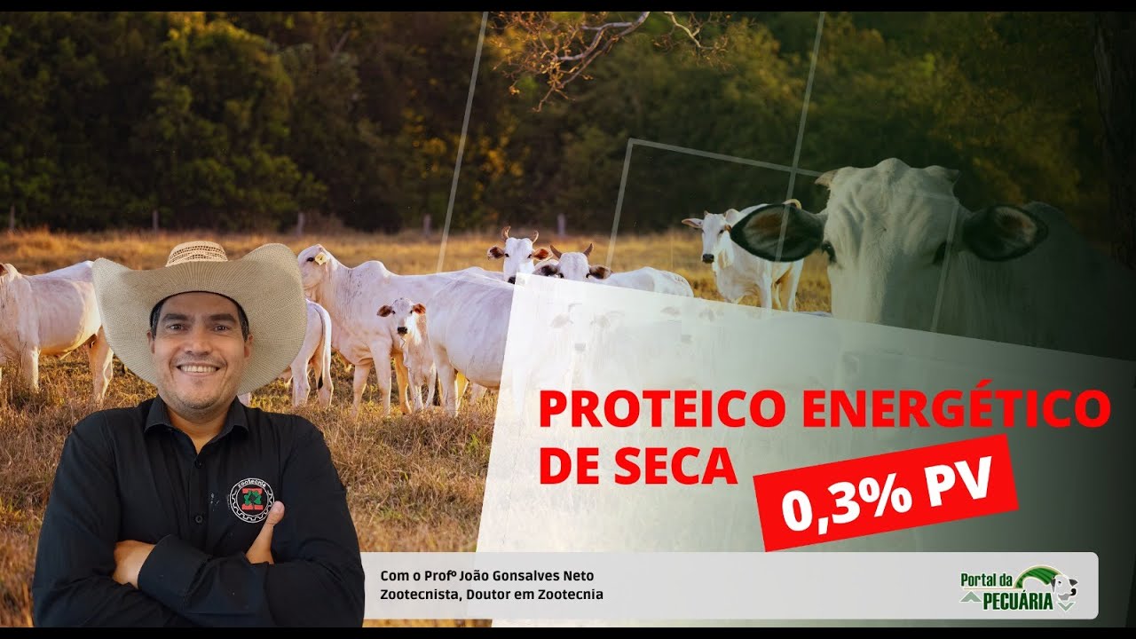 Como fazer proteico energético de seca 0,3% PV