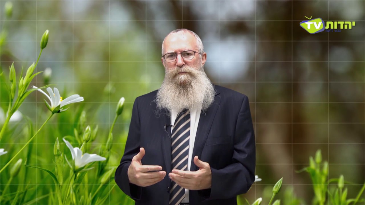משיח בשר ודם - מנחם ברוד