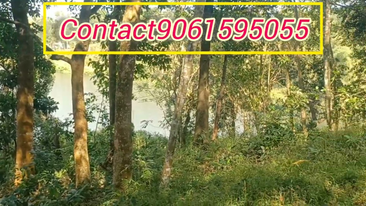 വയനാട്ടിൽ തടാക കരയിൽ റിസോർട്ട് സൈറ്റ് ഭൂമി മൂന്നര ഏക്കർ