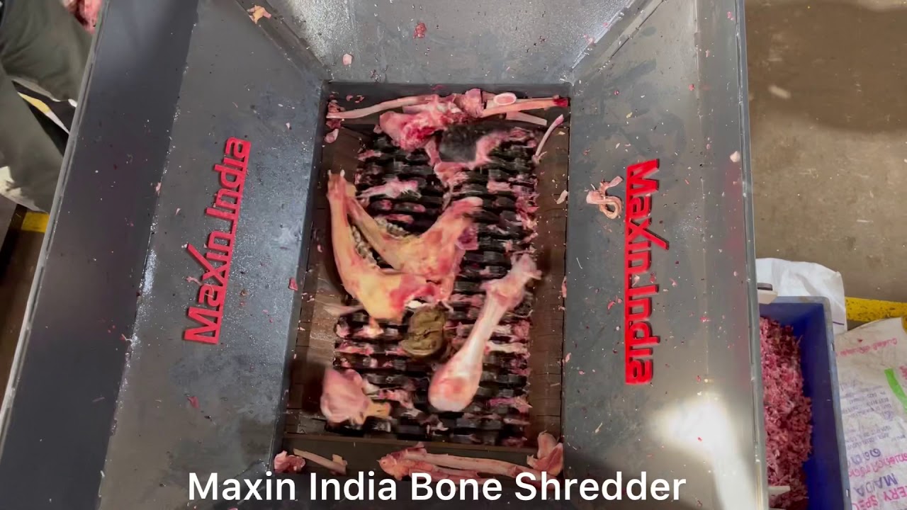 Bone shredder, Cattle Bone Shredding, Animal Bone Shredder, #AnimalBoneCrusher, #AnimalBoneCrusher,