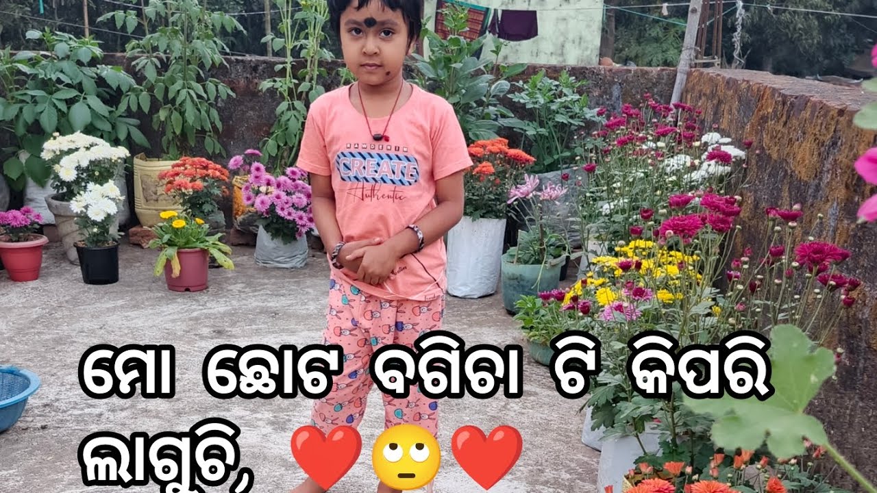 ମୋ ଛୋଟ ବଗିଚା ଟି କିପରି ଲାଗୁଚି #gardening #1mviewers #viralvideo #newsubscribers #viral 