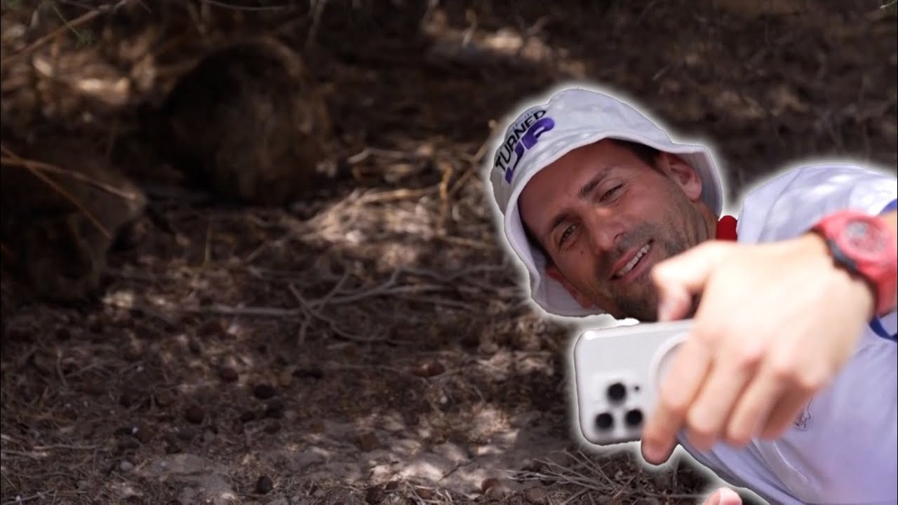 Novak Djokovic meets Quokka and enjoys beach day at stunning Rottnest Island