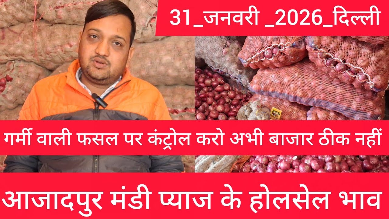January 31, 2026 दिल्ली 🧅प्याज के होलसेल भाव azadpur delhi mandi onion market price #onionmarket