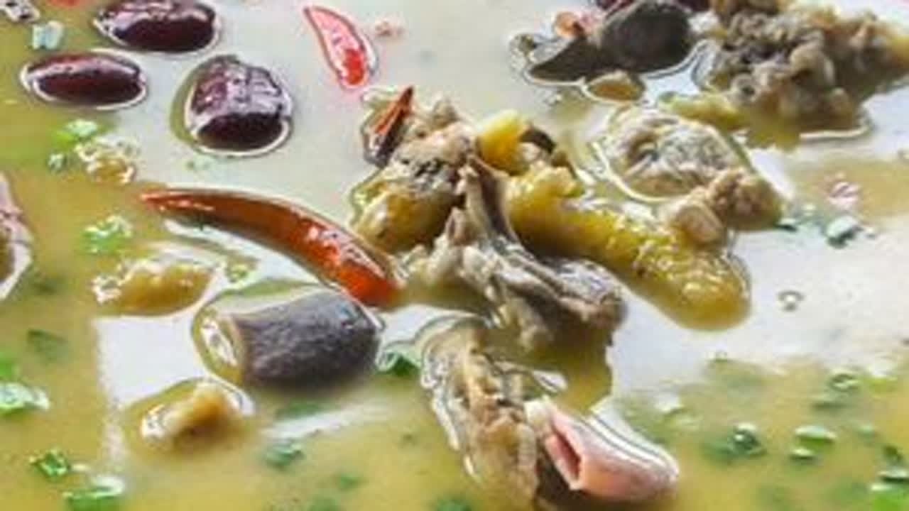 红格彝家生态鸡+守到做——夜梦钟情 #抖音美食推荐官