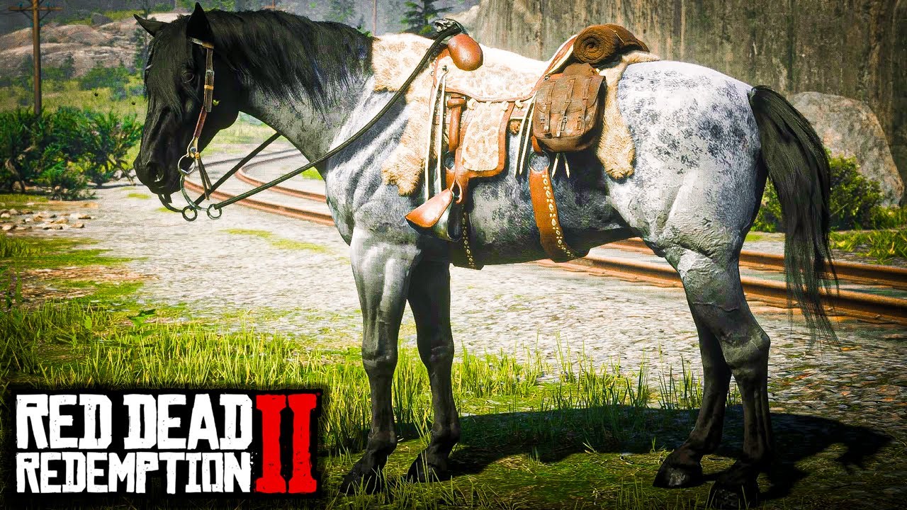 NOKOTA: A RAÇA QUE VOCÊ PRECISA CONHECER(O COMPÊNDIO pt. 14) - RED DEAD REDEMPTION 2