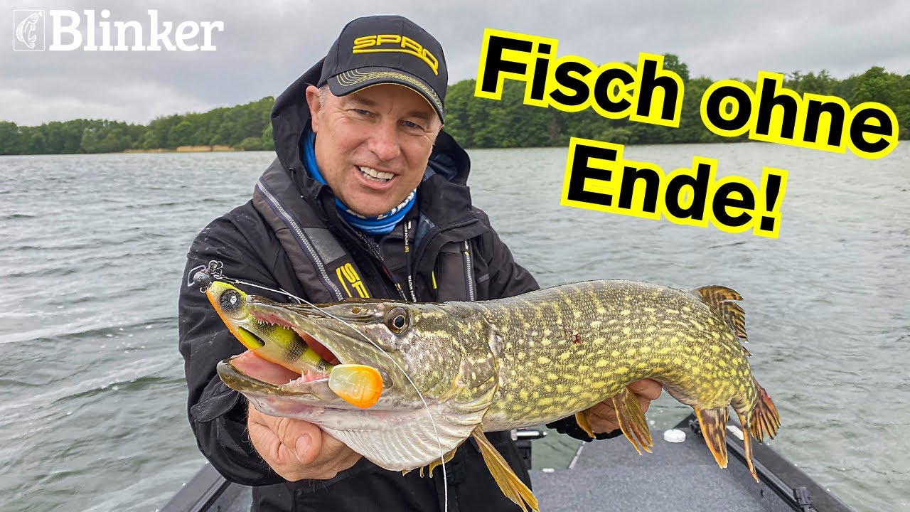 Angeln am Schweriner See: Wetterwechsel bringt Hecht!