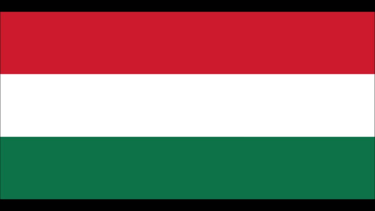 A Cs&aacute;sz&aacute;ri-Kir&aacute;lyi 12. sz&aacute;m&uacute; N&aacute;dor-husz&aacute;rezred Indul&oacute;ja