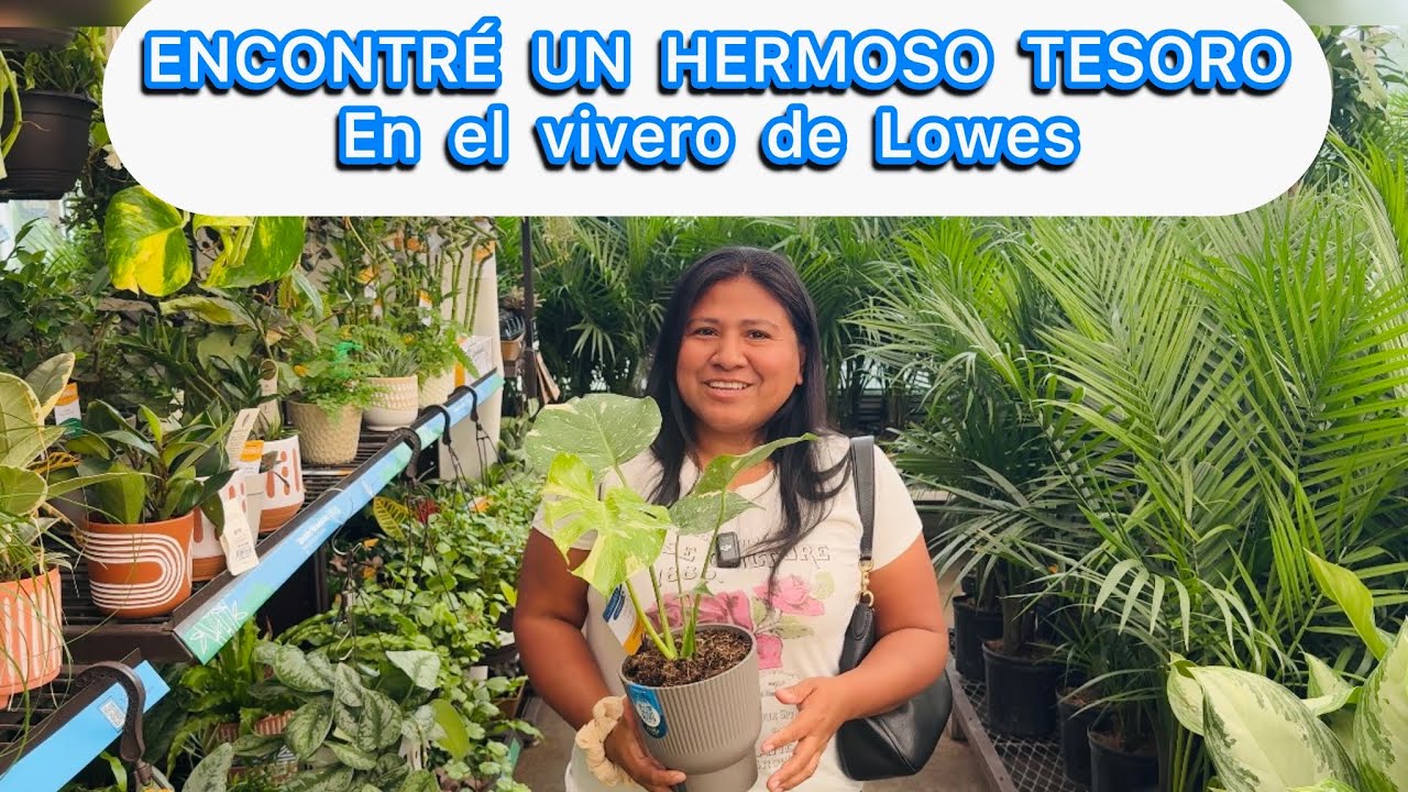 Encontré un  tesoro en el vivero de Lowes en Charlotte NC y nuevas plantas