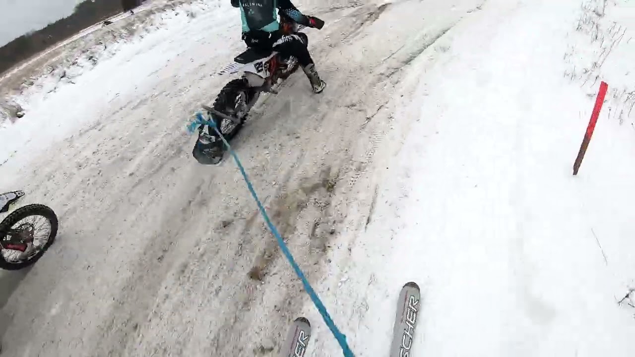 Tilderi Skijoring Open SemiFinal Race 21.01.2026